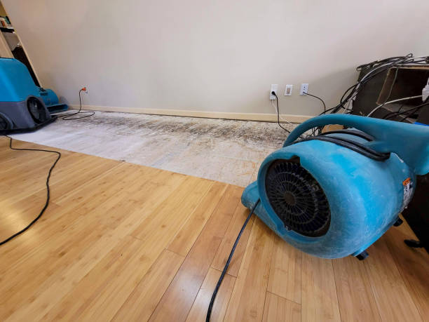Professional Flood Damage Cleanup technician working in Gainesville, TX